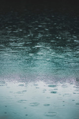 Rain droplets hitting water