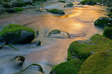 Landscape of the Roaring Fork Creek captured with motion blur and illuminated by reflected color from sunlit foliage, Great Smoky Mountains National Park, Tennessee, USA