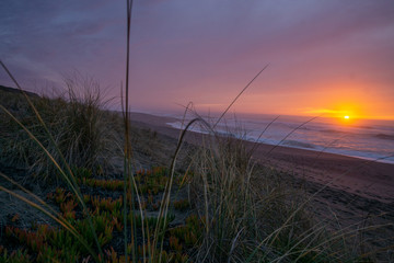 A view of the Pacific at sunset in Point Reyes