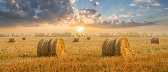 wheat field after a harvest with haystack at the sunset, rural agricultural scene © Yuriy Kulik