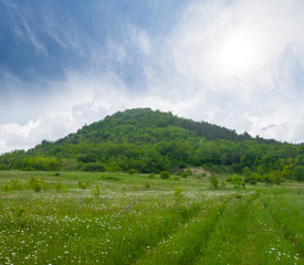 Fototapeta na wymiar alone huge hill among green rural fields, summer countryside background
