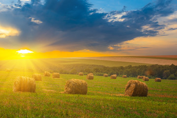 wheat field after a harvest with haystack at the sunset, rural agricultural scene
