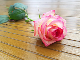 a rose lies on a textured surface, outside in rainy weather