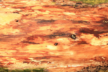 Fototapeta na wymiar Holz, Hintergrund, alter Baumstamm