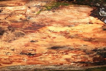 Holz, Hintergrund, alter Baumstamm