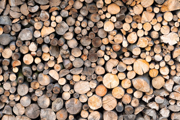 Wooden wall of cutted beech wood, Czech Republic