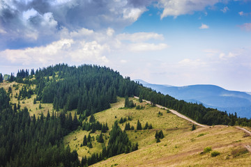 Obraz premium Szczyt góry pokryty jest zaroślami świerkowymi przy pochmurnej pogodzie