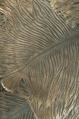 fancy dark feather texture luxury background overlay for graphic design