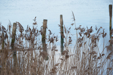 caorle, italy, 02/16/2020 , Lagoon of Caorle, a little town in the coast line of italy in the Adriatic sea .