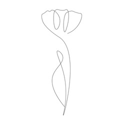 Spring flower line drawn, nature concept. Vector illustration