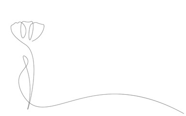 Spring flowers background, nature concept. Vector illustration