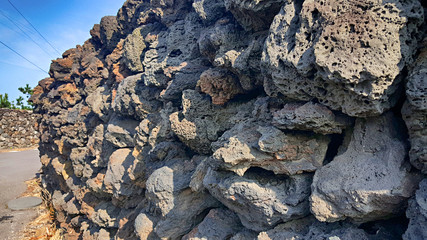 제주 돌담 풍경