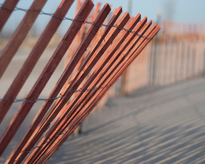 Snow Fence on the Beach