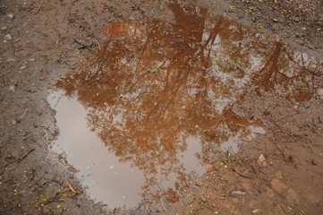 Brown-red reflection of the crown of a tree in a puddle on a dirt road with stones