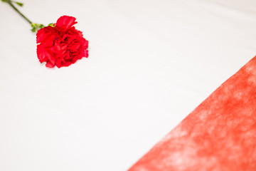 Mother's Day Single Red Flower with Tissue