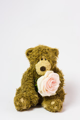 toy, cute, teddy, bear, with, living, flower