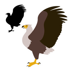 eagle vector illustration, black silhouette,profile