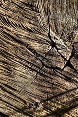 wood texture