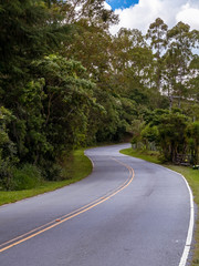 Curves of the road from Cunha to Paraty, Cunha, state of Sao Paulo, Brazil
