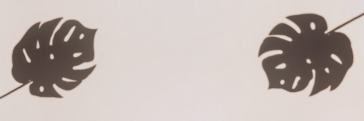 Banner with grey botanical shadows of the tropic palm leaves on beige wall background.