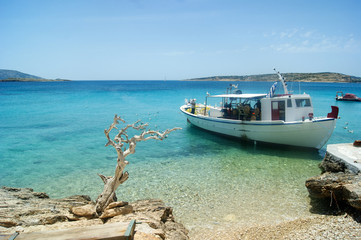 A knotted, windblown old tree and a moored small fishing boat.  Set against a blue sky and crystal clear sea, on the beautiful Greek island of Koufonissi.