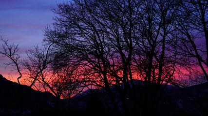 Obraz premium tree and mountain silhouettes in the red evening sky 