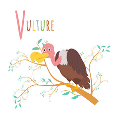 Colorful book alphabet. Vulture. Book of animals. Letter V