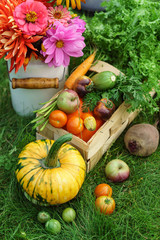 autumn arrangement - fresh vegetables and flowers