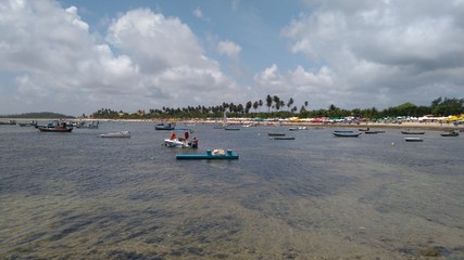 Obraz premium Beach of Suape in northeastern region of brazil