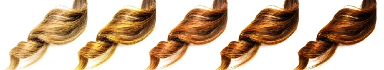 different brown colors curly piece of hair in a row on isolated white background
