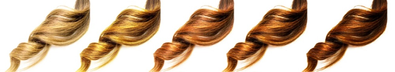 Naklejka premium different brown colors curly piece of hair in a row on isolated white background