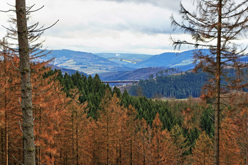 Blick über die Talbrücke bei Nuttlar, ins Hoch-Sauerland