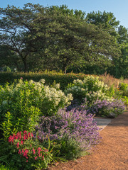Fototapeta na wymiar Summer perennial garden with flowers and flowering bushes in bloom along a walkway with trees in the background in Minneapolis, Minnesota.