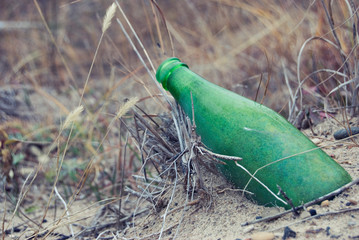 Green Bottle in the Sand
