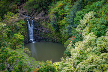 Heavenly Secret Lagoon, Tropical Paradise