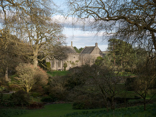 Dartington Gardens