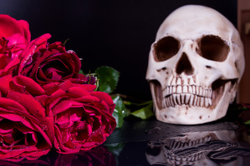 Skull and flowers. Human skull and red roses.