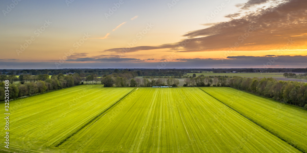 Wall mural Aerial view of agricultural meadow landscape