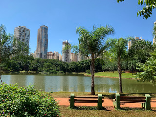 Beautiful perspective of a park and tropical trees on a sunny day in Goiania, Goias, Brazil 