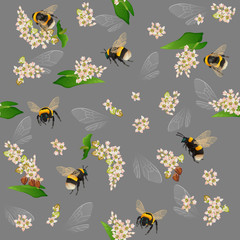 Bumblebee seamless pattern with buckwheat flowers and insect wings on gray