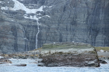Fototapeta na wymiar Gletscher auf Berg in Antarktis - Wasserfall