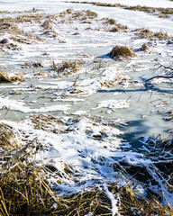 Frozen pond covered in snow drifts and dry grass.