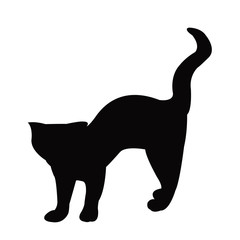 a cat body silhouette vector