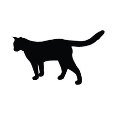 a cat body silhouette vector