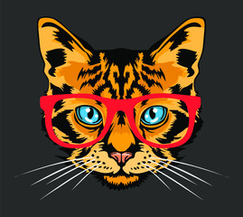 cat face with glasses vector illustration