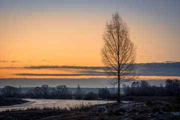 Dusk over the frozen river and birch tree with sunrise sky. Travel destination Russia