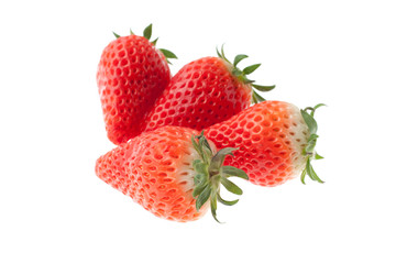 いちご　あきひめ