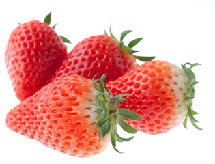 いちご　あきひめ