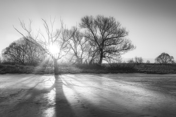 Obraz premium Beautiful winter sunrise over the frozen river and bare trees with azure sky and corpuscular sun rays. Black and white. Travel destination Moscow, Russia