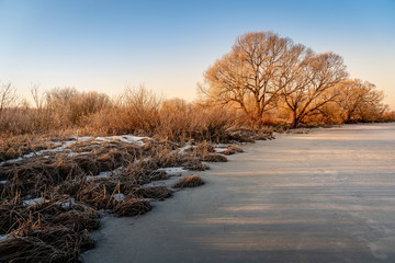 Bare trees and frozen river's bank in February at sunrise